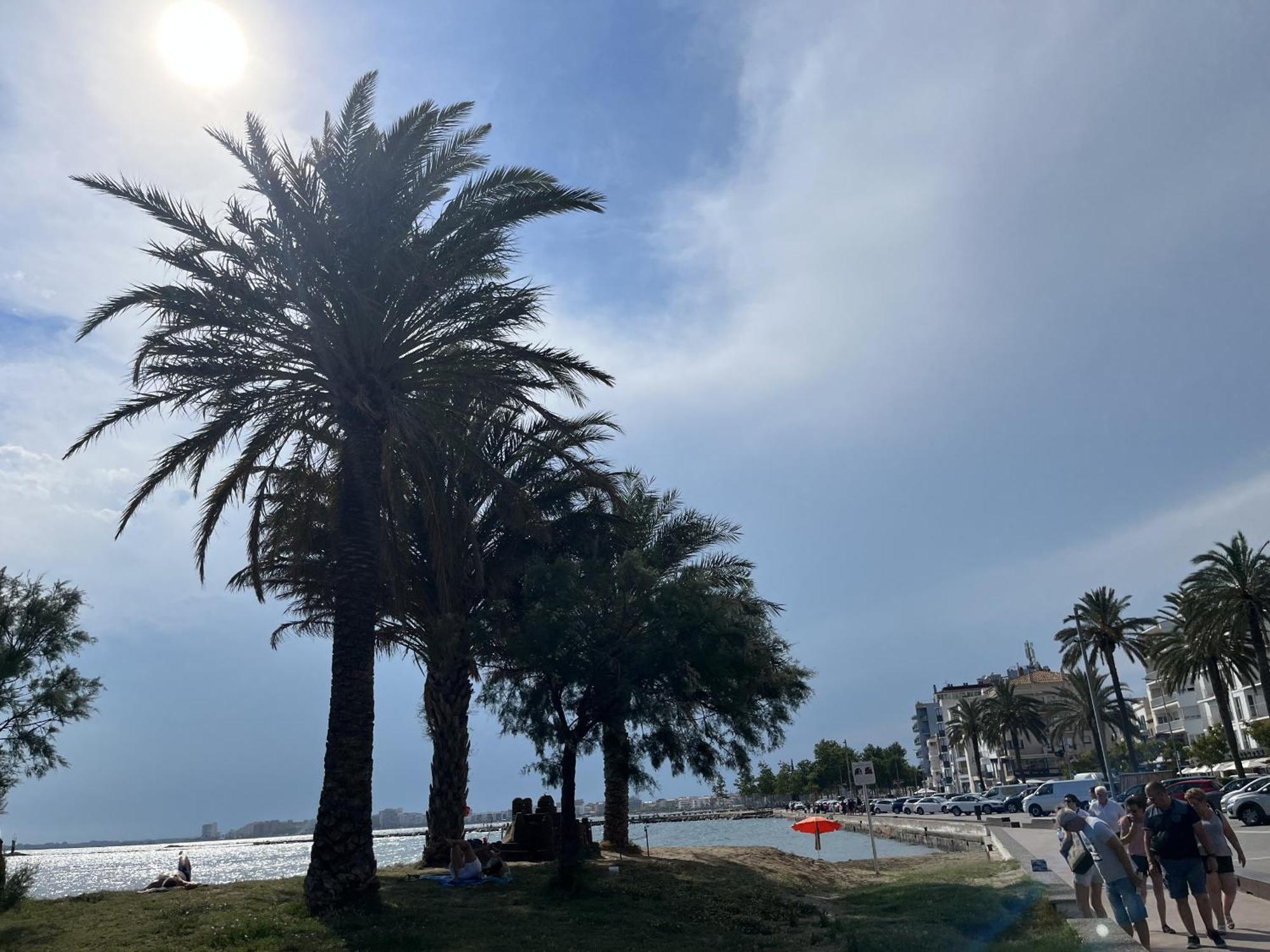 ロザスCastell Joncar,30 M De La Playa, 1Era Linea De Mar, Vista Al Marアパートメント エクステリア 写真